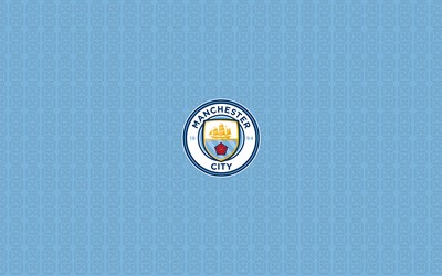 GOGO电竞独家-佩德里伤病反复成谜