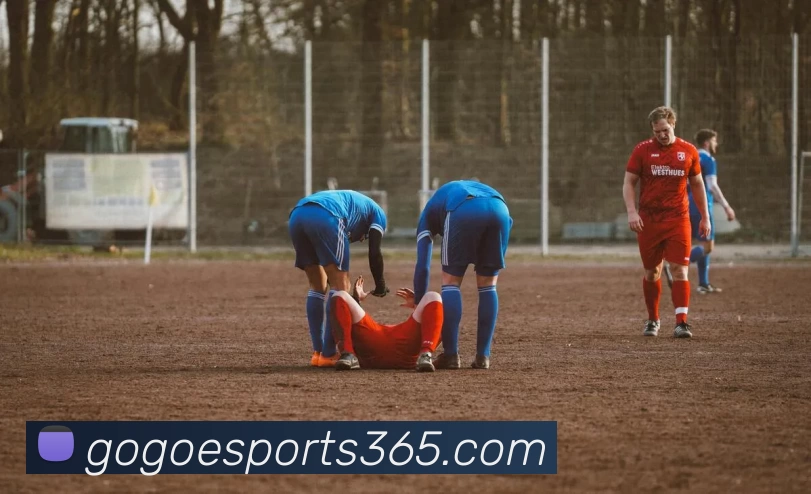 App Interface Preview